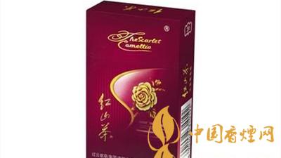 紅山茶紫市值多少錢？紅山茶紫口味如何？