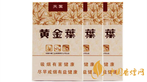 2020黃金葉天葉怎么樣？黃金葉大小天葉有什么不同