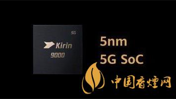 華為不會(huì)放棄芯片 還在不斷加大芯片投入