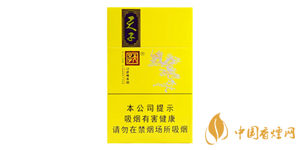天子煙價(jià)格表和圖片2025查詢(xún) 天子香煙多少錢(qián)一包