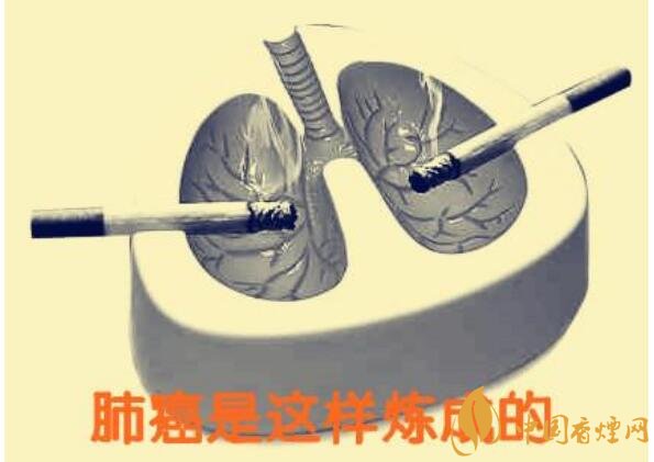 吸煙致癌嗎(還會引起急性中毒) 吸煙致癌有科學(xué)依據(jù)