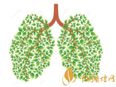 相比癌癥慢阻肺疾病離吸煙者更近！