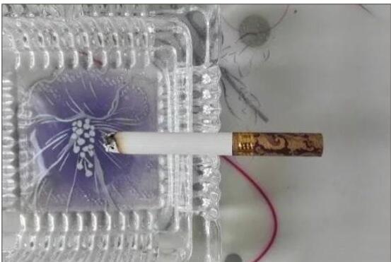 黃鶴樓漫天游，除了短貴沒別的毛病