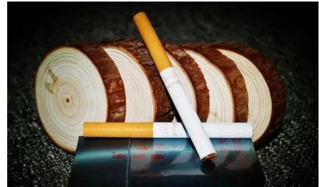 黃鶴樓游泳回歸，爺爺輩最喜愛的香煙品牌