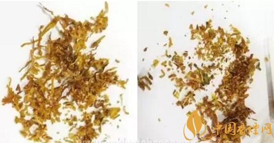 冬蟲夏草（和潤）真假鑒別，春節(jié)防止被騙